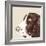 Springer Spaniel-Emily Burrowes-Framed Art Print