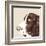 Springer Spaniel-Emily Burrowes-Framed Art Print