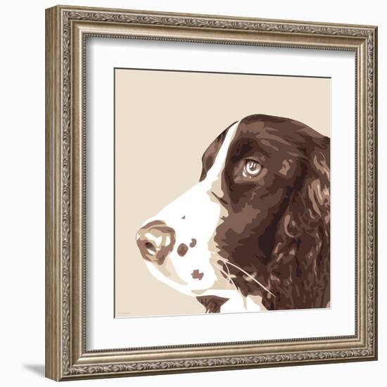 Springer Spaniel-Emily Burrowes-Framed Art Print