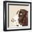 Springer Spaniel-Emily Burrowes-Framed Art Print