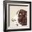 Springer Spaniel-Emily Burrowes-Framed Art Print