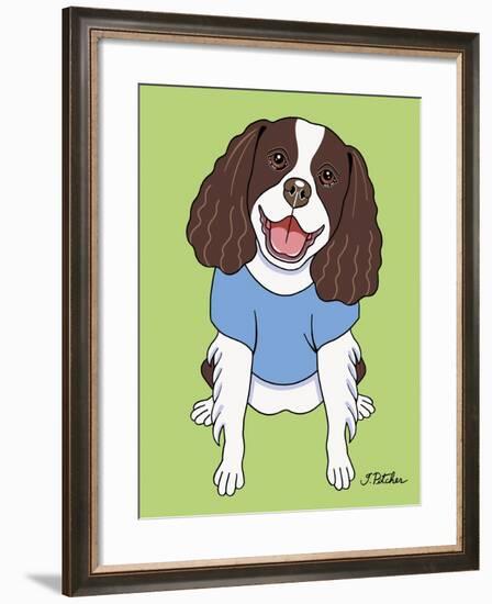 Springer Spaniel-Tomoyo Pitcher-Framed Giclee Print