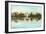 Springfield Park, Jacksonville, Florida-null-Framed Art Print