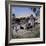 Springlands (Skeldon), Berbice, Guyana-null-Framed Photographic Print