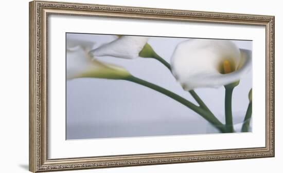 Springplicity I-Cinzia Ryan-Framed Giclee Print