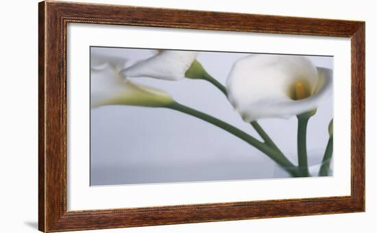 Springplicity I-Cinzia Ryan-Framed Giclee Print