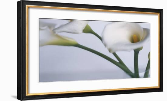 Springplicity I-Cinzia Ryan-Framed Giclee Print