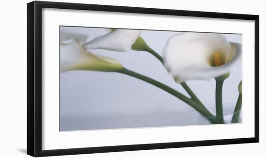 Springplicity I-Cinzia Ryan-Framed Giclee Print