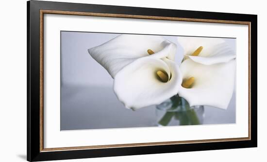 Springplicity II-Cinzia Ryan-Framed Giclee Print