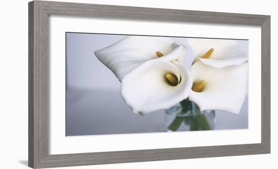 Springplicity II-Cinzia Ryan-Framed Giclee Print