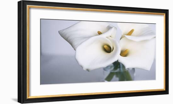 Springplicity II-Cinzia Ryan-Framed Giclee Print