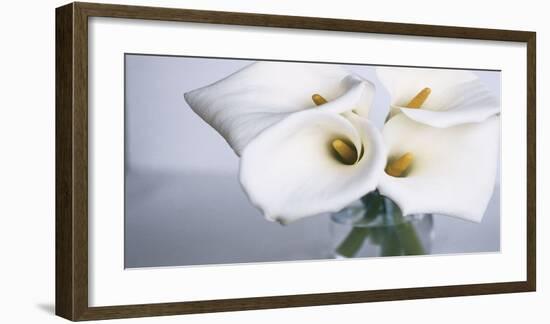 Springplicity II-Cinzia Ryan-Framed Giclee Print