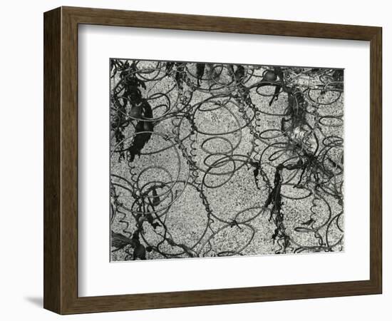 Springs and Snow, 1977-Brett Weston-Framed Photographic Print