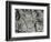 Springs and Snow, 1977-Brett Weston-Framed Photographic Print