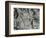 Springs and Snow, 1977-Brett Weston-Framed Photographic Print