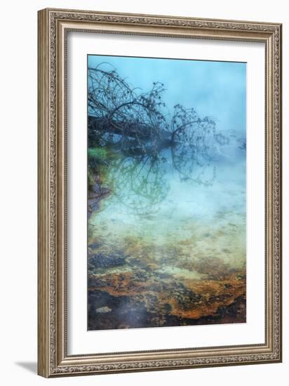 Springs Detail-Vincent James-Framed Photographic Print