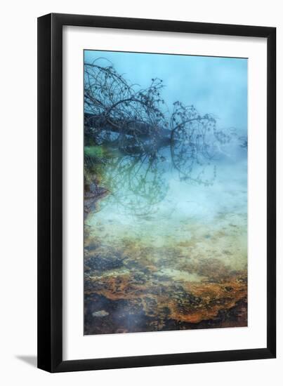 Springs Detail-Vincent James-Framed Photographic Print