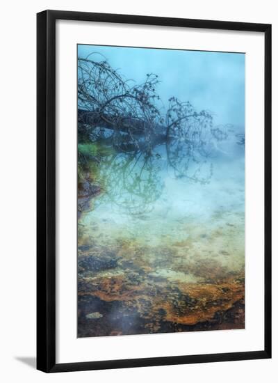 Springs Detail-Vincent James-Framed Photographic Print