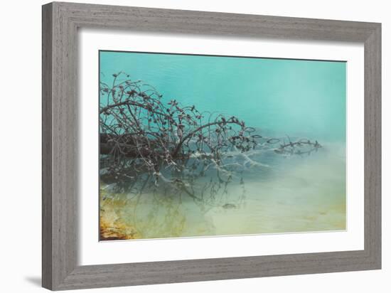 Springs Tree Detail, Yellowstone National Park, Wyoming-Vincent James-Framed Photographic Print