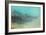 Springs Tree Detail, Yellowstone National Park, Wyoming-Vincent James-Framed Photographic Print