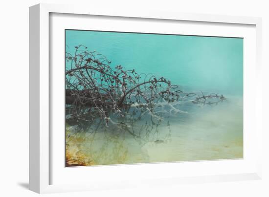 Springs Tree Detail, Yellowstone National Park, Wyoming-Vincent James-Framed Photographic Print