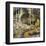 Springtide-Robert Moore-Framed Art Print