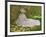 Springtime, 1872-Claude Monet-Framed Giclee Print