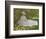 Springtime, 1872-Claude Monet-Framed Art Print