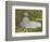 Springtime, 1872-Claude Monet-Framed Art Print