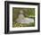 Springtime, 1872-Claude Monet-Framed Art Print