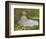 Springtime, 1872-Claude Monet-Framed Art Print