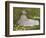 Springtime, 1872-Claude Monet-Framed Art Print