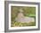 Springtime, 1872-Claude Monet-Framed Giclee Print