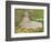 Springtime, 1872-Claude Monet-Framed Giclee Print