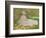 Springtime, 1872-Claude Monet-Framed Giclee Print