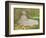 Springtime, 1872-Claude Monet-Framed Giclee Print