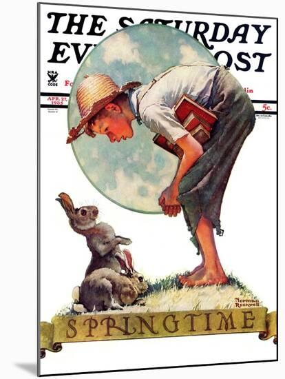 "Springtime, 1935 boy with bunny" Saturday Evening Post Cover, April 27,1935-Norman Rockwell-Mounted Giclee Print