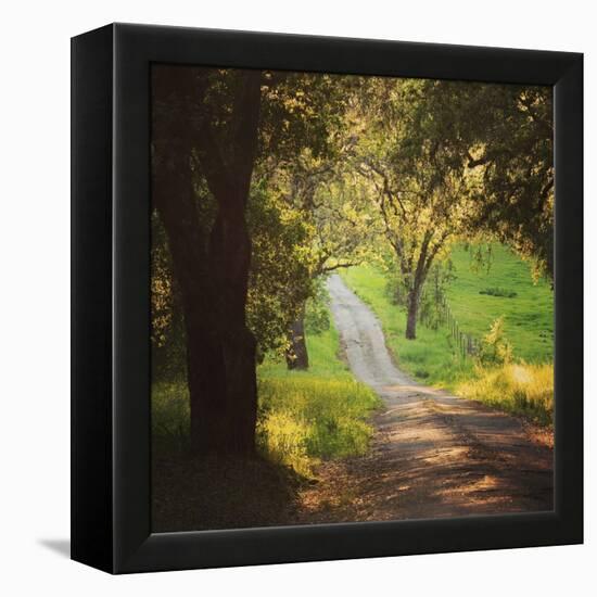 Springtime Afternoon-Lance Kuehne-Framed Stretched Canvas