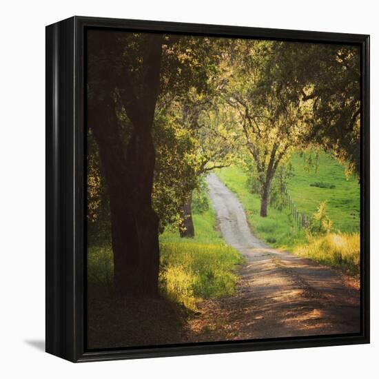 Springtime Afternoon-Lance Kuehne-Framed Stretched Canvas