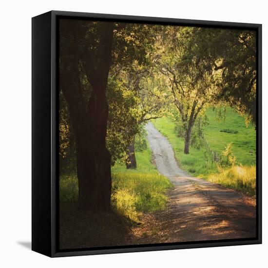 Springtime Afternoon-Lance Kuehne-Framed Stretched Canvas