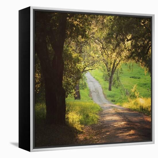 Springtime Afternoon-Lance Kuehne-Framed Stretched Canvas