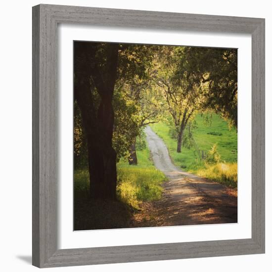 Springtime Afternoon-Lance Kuehne-Framed Photographic Print