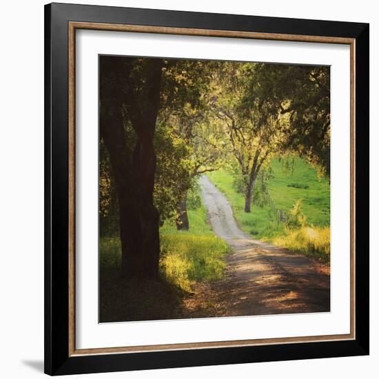 Springtime Afternoon-Lance Kuehne-Framed Photographic Print