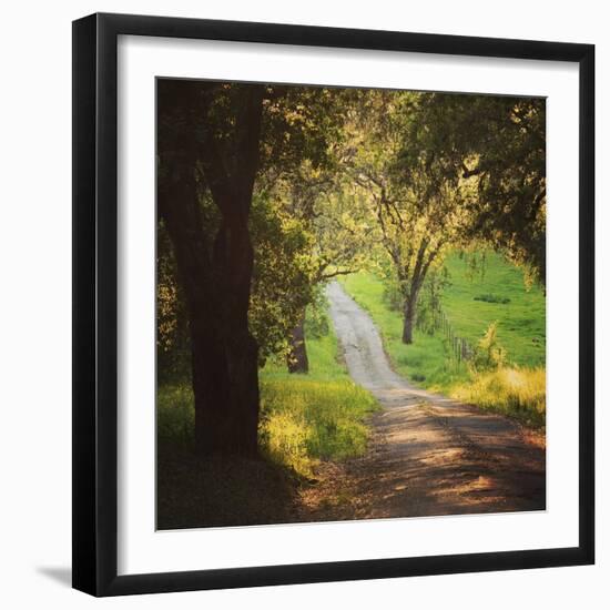 Springtime Afternoon-Lance Kuehne-Framed Photographic Print