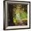 Springtime Afternoon-Lance Kuehne-Framed Photographic Print