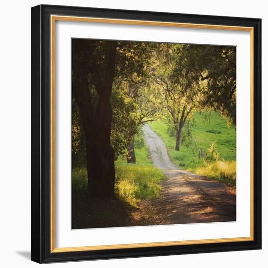 Springtime Afternoon-Lance Kuehne-Framed Photographic Print