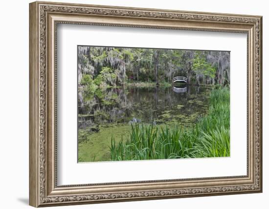 Springtime azalea blooming, Charleston, South Carolina, with white arched bridge.-Darrell Gulin-Framed Photographic Print