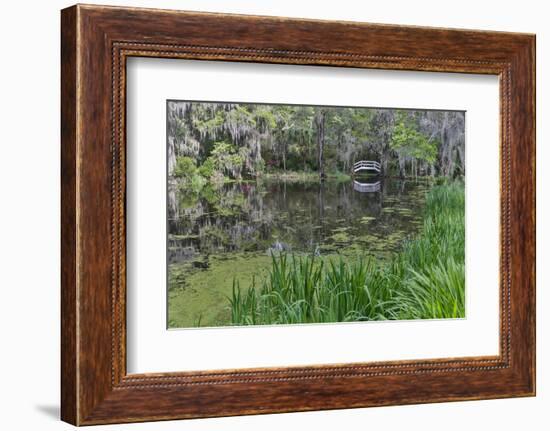 Springtime azalea blooming, Charleston, South Carolina, with white arched bridge.-Darrell Gulin-Framed Photographic Print