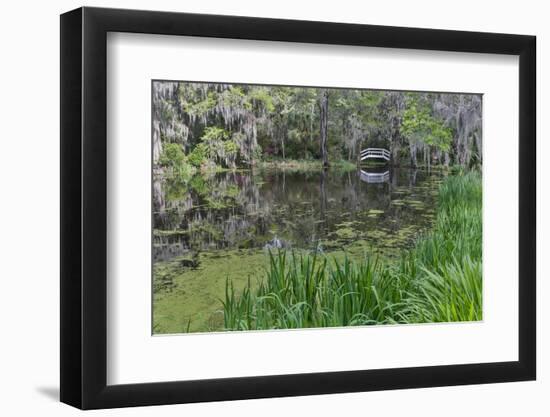 Springtime azalea blooming, Charleston, South Carolina, with white arched bridge.-Darrell Gulin-Framed Photographic Print