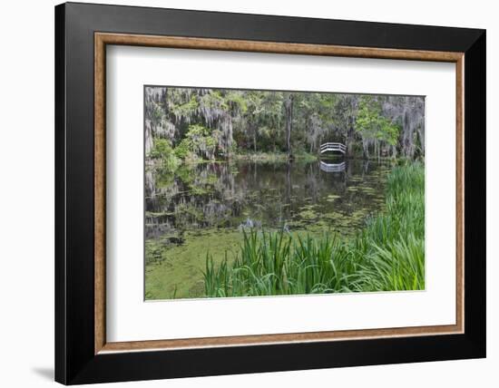 Springtime azalea blooming, Charleston, South Carolina, with white arched bridge.-Darrell Gulin-Framed Photographic Print